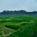 هلال احمر اسلامشهر