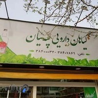 طب سنتی لپه ئیان