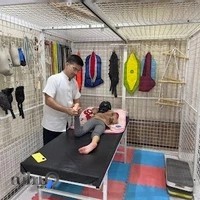 کاردرمانی ققنوس کمالی فر