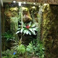 باغ شیشه ای افرند