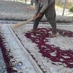 قالیشویی پاسارگاد