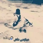 بیمارستان دامپزشکی آبان