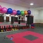 باشگاه ووشو لیدر