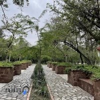 بوستان بانوان ریحانه