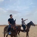 روبه راه (rooberah.net)