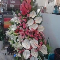 روز لند فلوریا