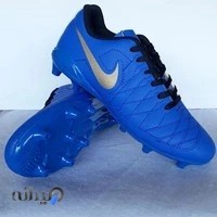 کفش ورزشی آراد