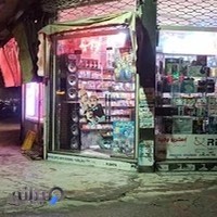 استریو وحید