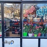 لاستیک فروشی و باتری فروشی امیر