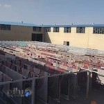 کارخانه قالیشویی نگین