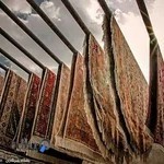 قالیشویی و مبل شویی همت یزد