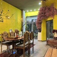 کافه چینار | coffe chinar