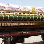 پویا پازیریک ایساتیس