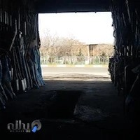 اگزوز خلجانی