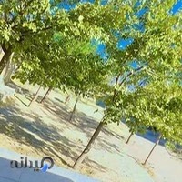 کارشناس مامایی