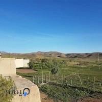 تحریر و اسباب بازی بهشت