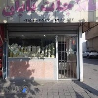 طلاجات تابان