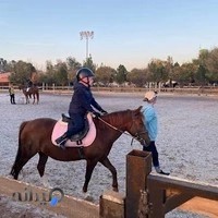 آکادمی سوارکاری ملی