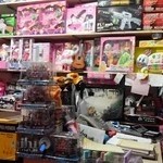 اسباب بازی فروشی قویدل