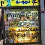 اسباب بازی نمونه