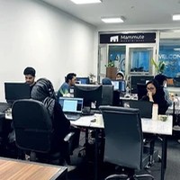 مرکز مشاوره و شتابدهنده ماموت