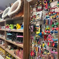 پت شاپ پت طوری