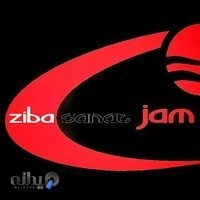 شرکت طراحی دکوراسیون داخلی زیبا صنعت