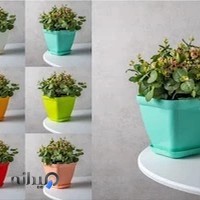 گلفروشی صباغ