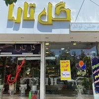 گل سرای تارا