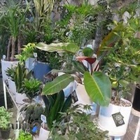 گلخانه نارمک