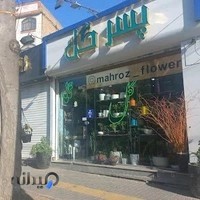 گل فروشی مه رز