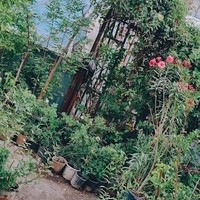 گلفروشی بهشت