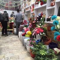 گلسرای کاکتوس