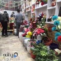 گلسرای کاکتوس