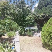 دبستان آپادانا