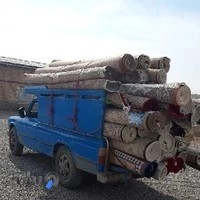 قالیشویی محمدیان