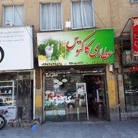 عطاری کاکتوس