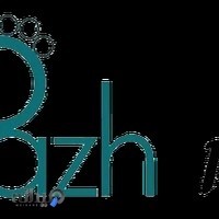 شرکت توسعه تجارت الکترونیک پاژ