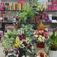 گلسرای لاله