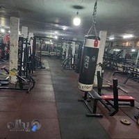 باشگاه پیل پیکر