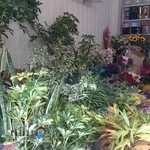 گل فروشی امیر