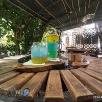 هنرخانه درخت