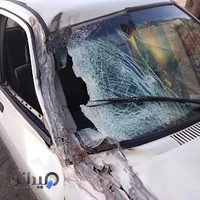 صافکاری بازیان