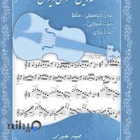 تدریس خصوصی و تخصصی ویولن ویولا ویولنسل