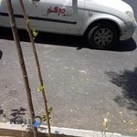 آسانسور مهر گستر