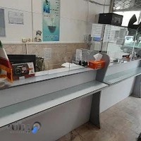 بیمه ایران صمدی فر