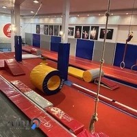 آکادمی ژیمناستیک آنیل