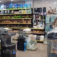 مرغ بریان کردستان