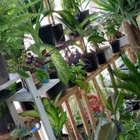 بلوار طبرسی