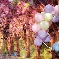 مهد کودک هدهد